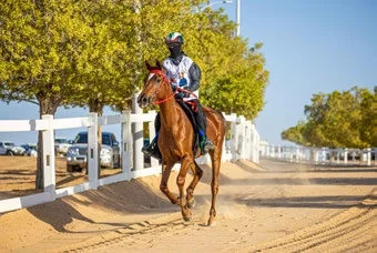 Rider on sandy track