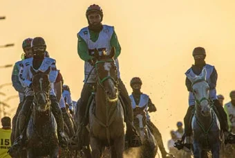 Race riders at golden sunset