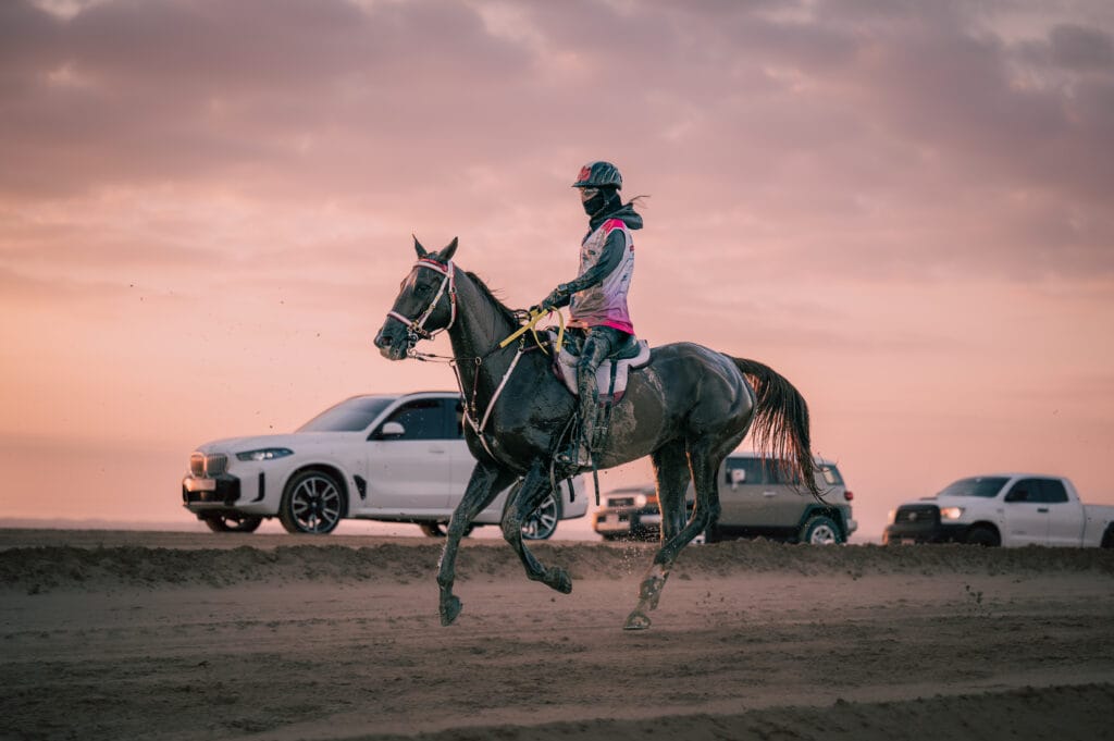 Endurance riding at EIEV
