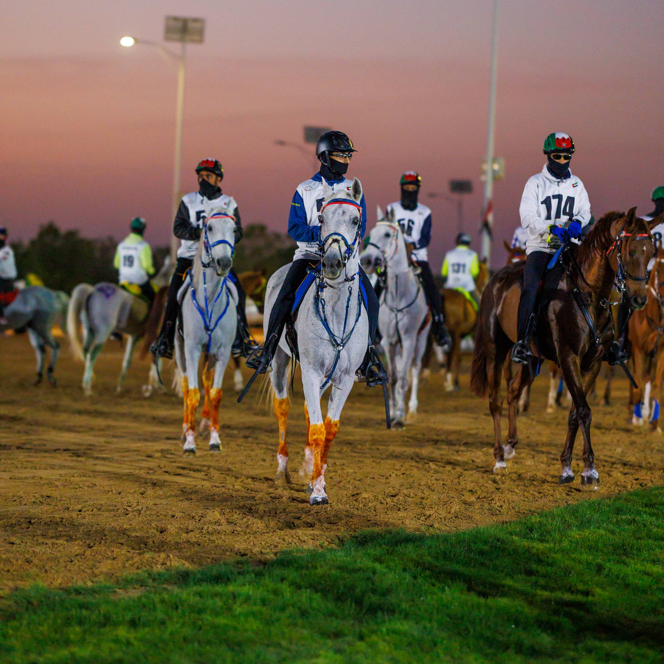 The President of United Arab Emirates Endurance Cup