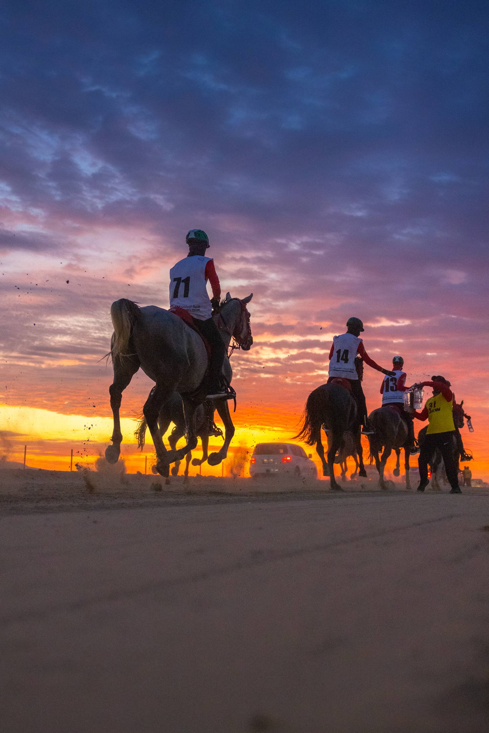 Abu Dhabi Festival Endurance Cup (Open Ride)