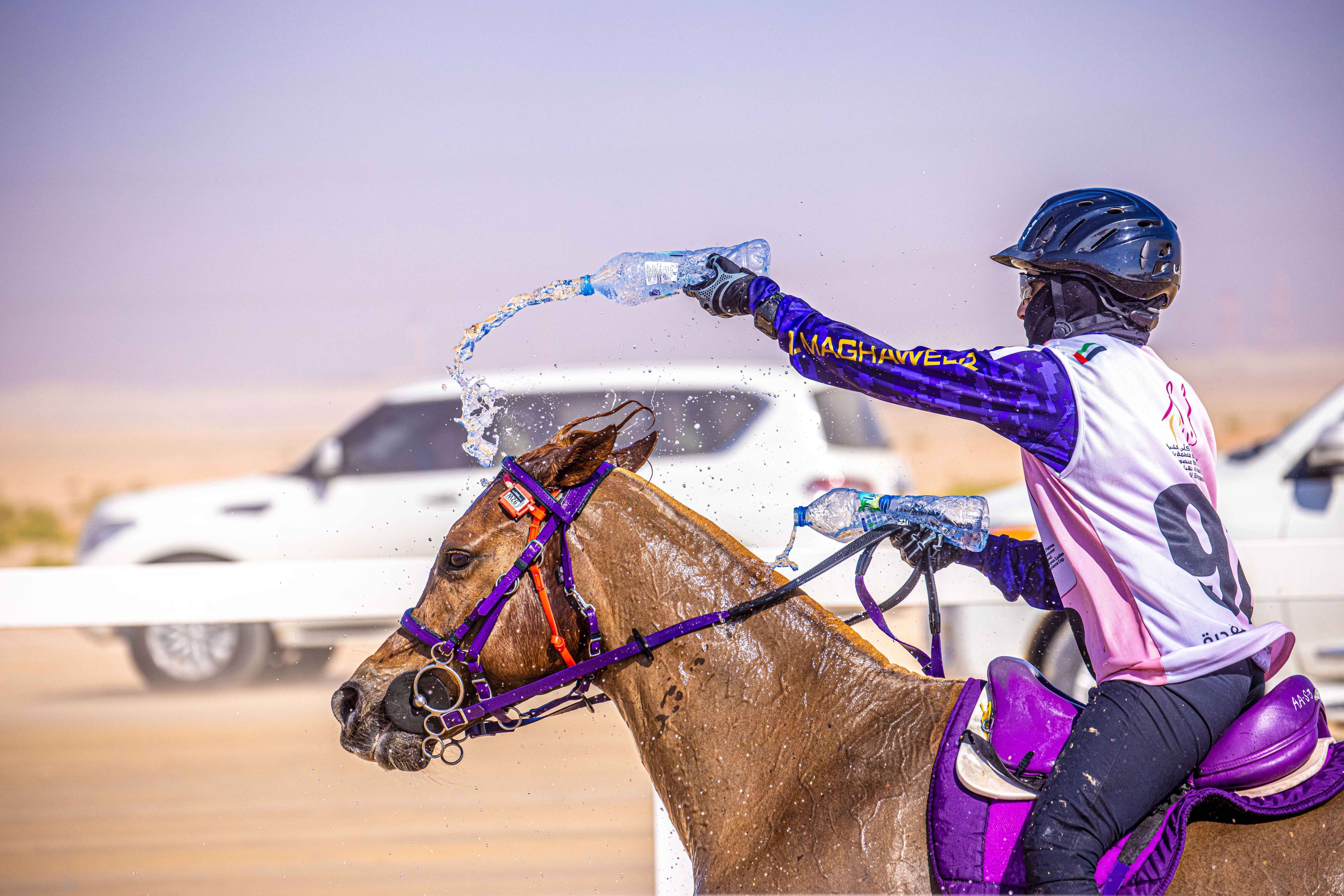 Abu Dhabi Festival Endurance Cup (Open Ride)