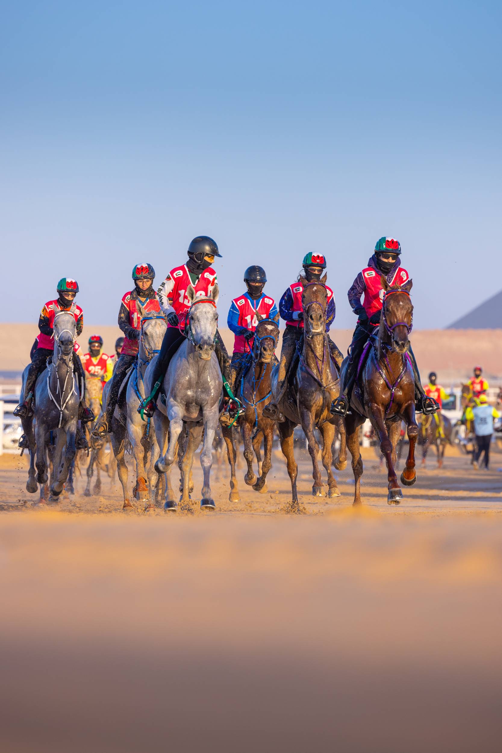 Abu Dhabi Festival Endurance Cup (Ladies Ride)