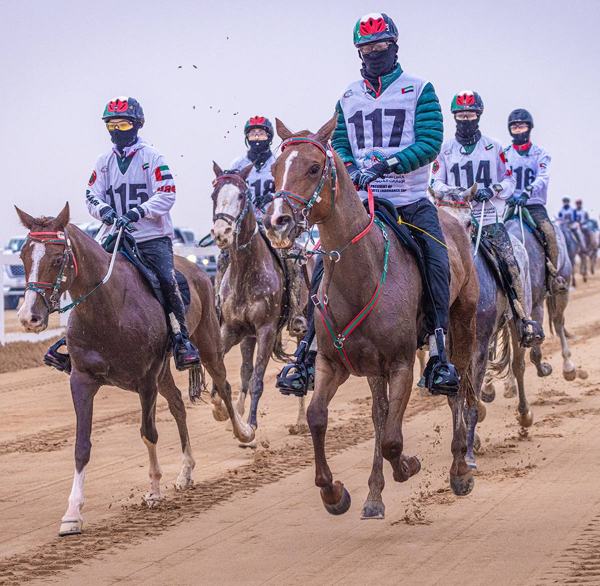 Abu Dhabi Festival - Open Master Games