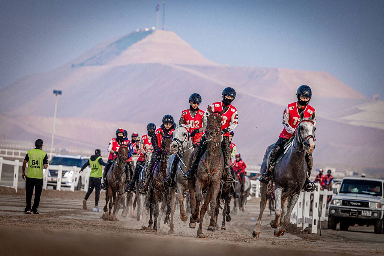 Abu Dhabi Festival Endurance Cup (Ladies Ride)