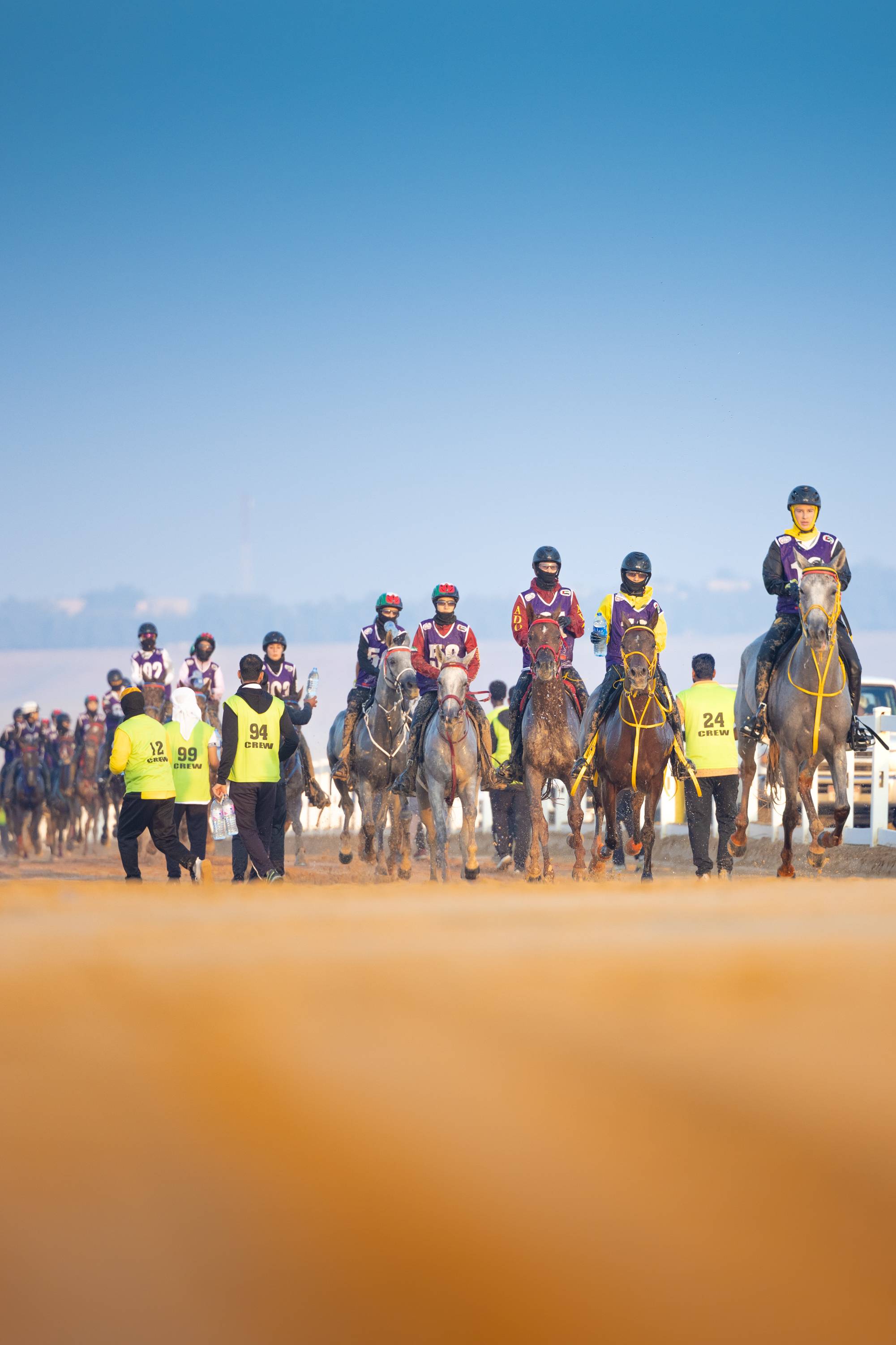 HH Sheikha Fatima bint Mubarak for Private Owners – Ladies Endurance
Cup