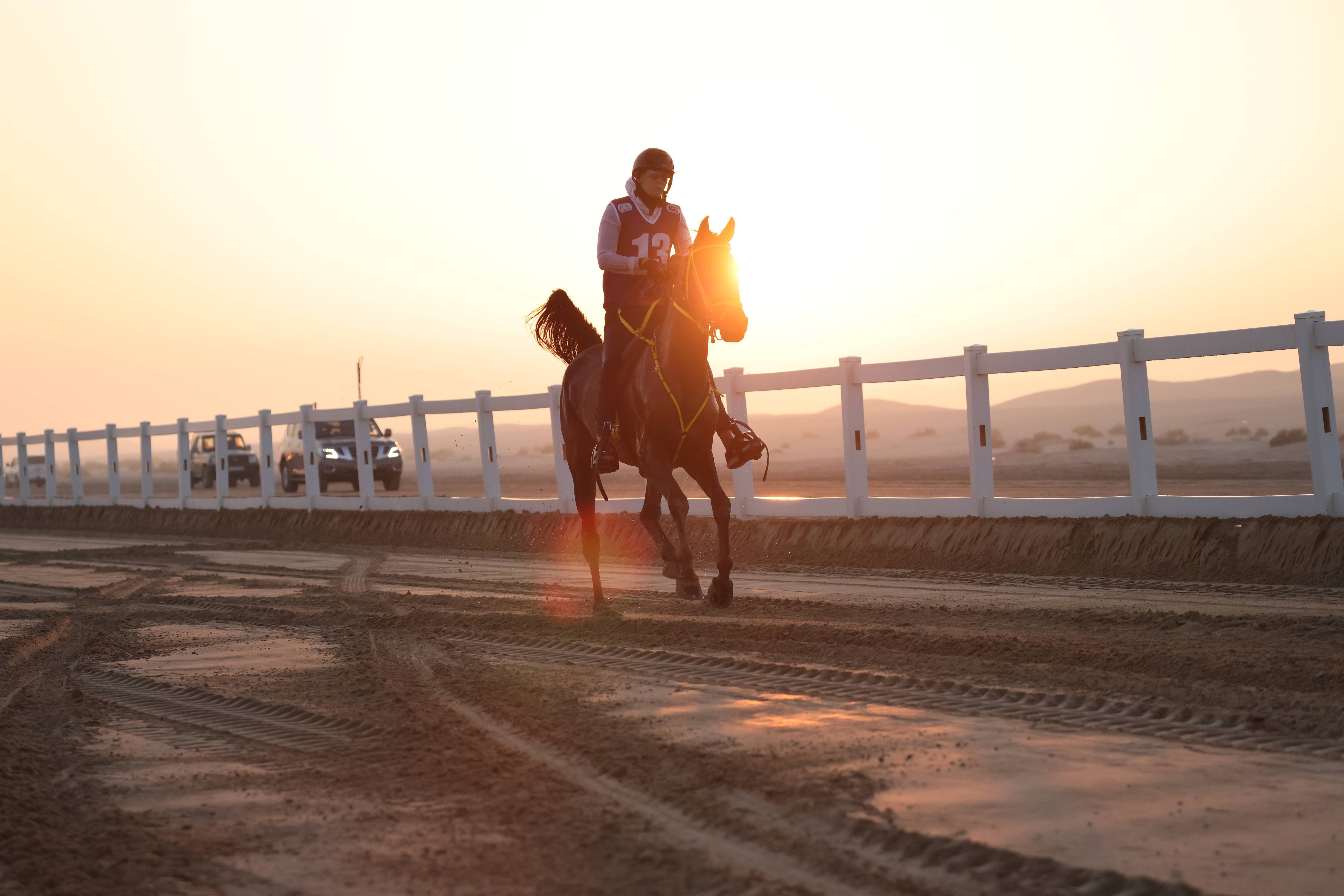  Emirates Arabian Horses Cup